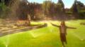 Listerine - Sprinklers Image