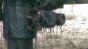 Oil Well 1 Image