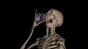 Skeleton Milk Test Image