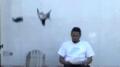 Smokeless Pigeon Drop Test Image