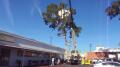 Parachute Drop Test Image
