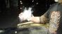 Cue Ball Crush Test #2 Image