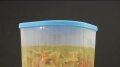 Soup Melt Tupperware Image