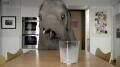 Oreo - 'Elephant' Image