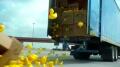 Tom Tom - Ducks Image