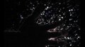 Glitter Element Test 420fps  Image