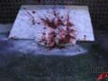 Blood Splatter Test Image