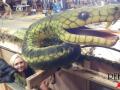 Susan Puppeteering a Snake Image
