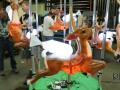 Reindeer Carousel Image