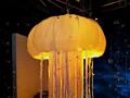 Best Buy - Jellyfish Puppeteer Finished Product Image
