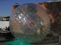 Zorb Image
