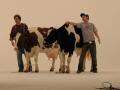 Carls Jr Milkshake  Image