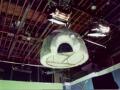 Coors Lite Igloo  Image