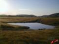 VW Pond Image