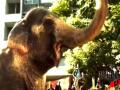 Vodafone - 'Heffalump' Image