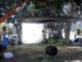 Tornado Park Leaves Image