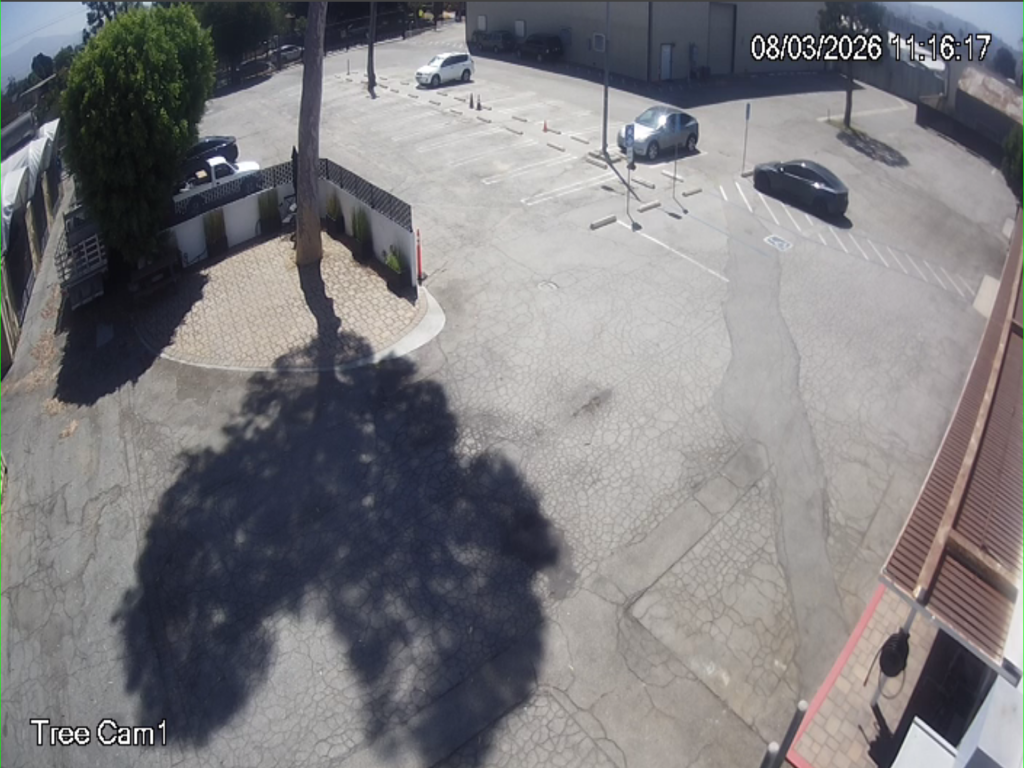 Tree Cam1-Empty.png