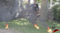 Nike Cone Flame Test Image