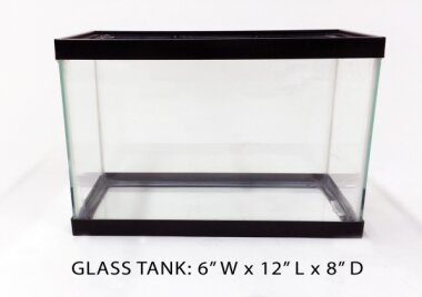 Glass Tank 6 - 6x12x8 Image