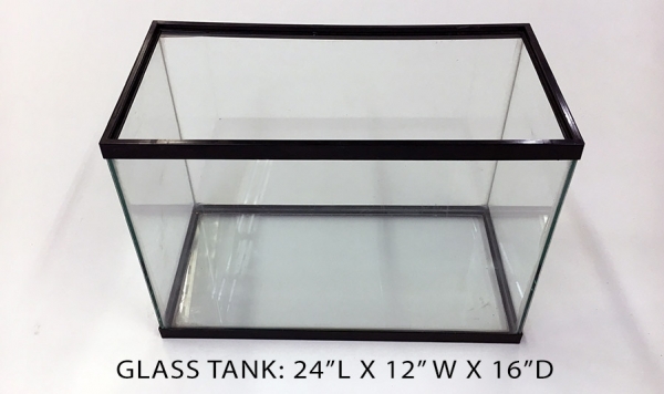 Glass Tank 2 - 24x12x16 Image
