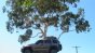 Jeep Drop Test Image