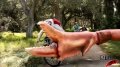 Joe's Crab Shack - 'Mountain Biking' Image