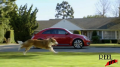 Volkswagen - 'The Dog Strikes Back' Image