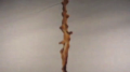 Coffee Upside Down Rig - Insert 1 Close Test- 420fps Image