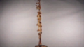 Coffee Upside Down Rig - Insert 2 Wide Test- 420fps Image