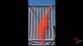 Orange Powder Air Mortar Test - High Speed Image