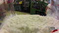 Flour Pour Slow Motion Test Image