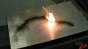 Smokeless gunpowder burning test Image