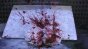 Blood Splatter on Snow Test Image