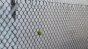 Tennis Ball Air Mortar Test Image