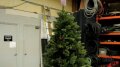 Walgreens - Christmas Tree Test Image
