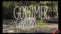 Gortimer Gibbon Pilot Image