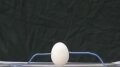 Capacitor Test - Egg 1 Image