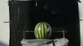 Capacitor Test - Watermelon Image