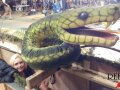 Susan Puppeteering a Snake Image