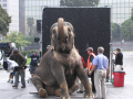 elephant  Image